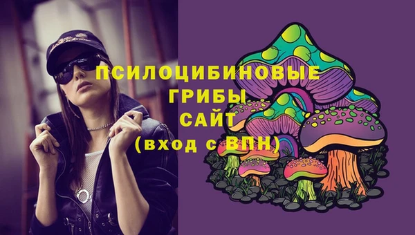 Альфа ПВП Алзамай