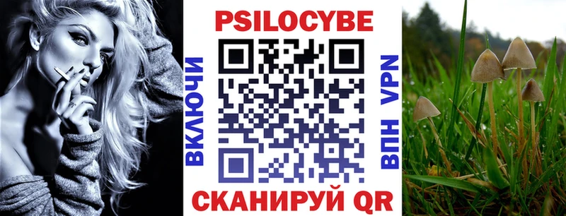 Галлюциногенные грибы Psilocybine cubensis Пошехонье
